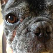 蒼穹のカルマ 1 4 メルカリ