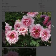 ひさとも様 リクエスト 2点 まとめ商品 - メルカリ