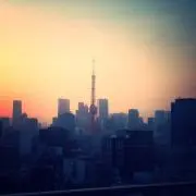 cocoの画像
