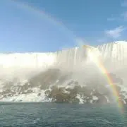 ごくうの画像
