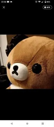 こぐまの画像