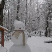 きゃのんの画像