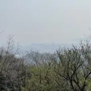 HAの画像
