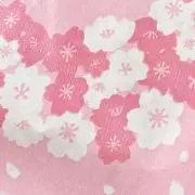さくらの画像