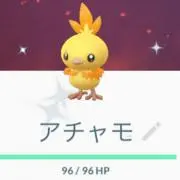 アチャの画像