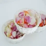 みずきの画像