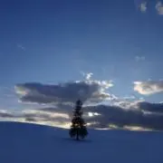 澪の画像