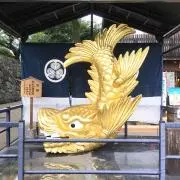 あつくんの画像