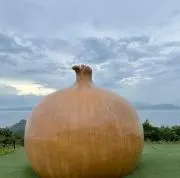 かがほん23の画像