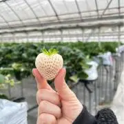 yuuuuの画像