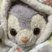 しーちゃん※タンス整理中※の画像