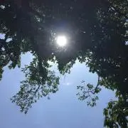 ひなひな