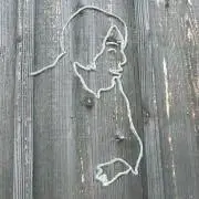 Komの画像