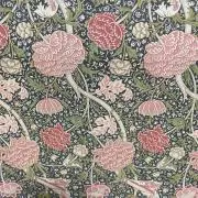 eriの画像