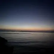 ケミ