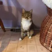 ゆい
