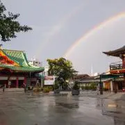 ハム