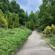 RAR MOKKOの画像