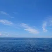 yoccoの画像