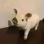ごひきのこぶたの画像