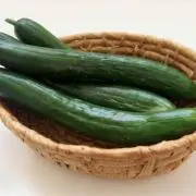 めたんこおたんこナス