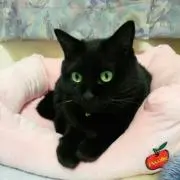 ★まさき