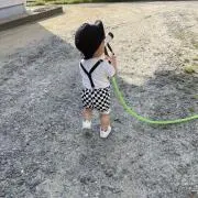 237の画像