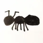 ANTの画像