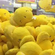 horiの画像