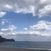 poyo☺︎