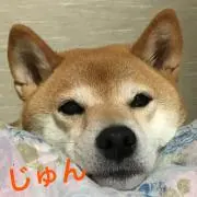 じゅんの画像