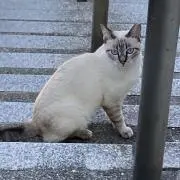 佐々木【即日発送可能】