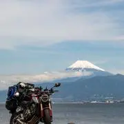 fmy 超市送料分値引き中の画像
