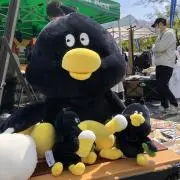 ゆっちの画像