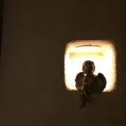 takの画像