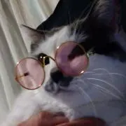 トムハンクン