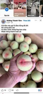 Canh