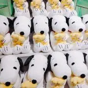 すぬっぴの画像