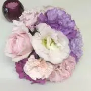 みかんysの画像