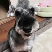 タロウちゃん