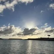 チロル／春物大幅値下げ中⭕️夏物出品中の画像