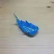 みのるの画像