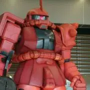 ゴムポンプの画像
