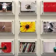 トマトの画像