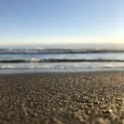 沢井良の画像
