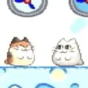 めめの画像