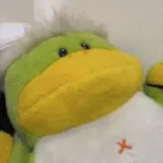 いけちの画像