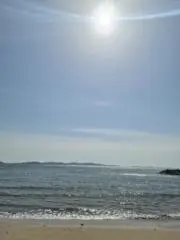 みぱの画像