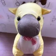 きーくんの画像