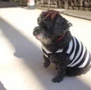 みぃ